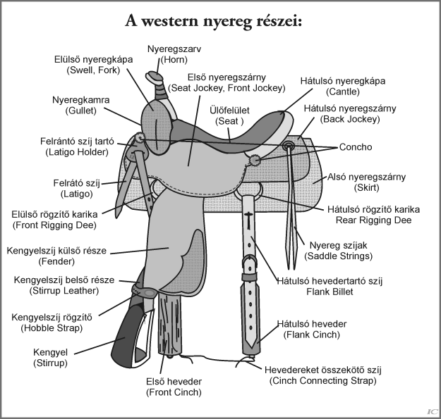 A heveder felfüggesztése (Rigging) az első kápához képest különböző pozícióban lehet, mert a különböző hátú lovakra, más-más pozícó passzol.