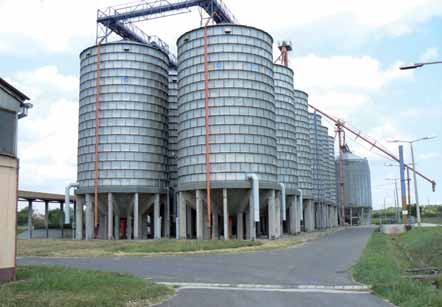 9 12. A Bizottság piaci előrejelzések alapján határozza meg, hogyan lépjen fel a tárolt gabona értékesítésével kapcsolatban. A tagállamok ezután pályázatot írnak ki a gabona értékesítésére.