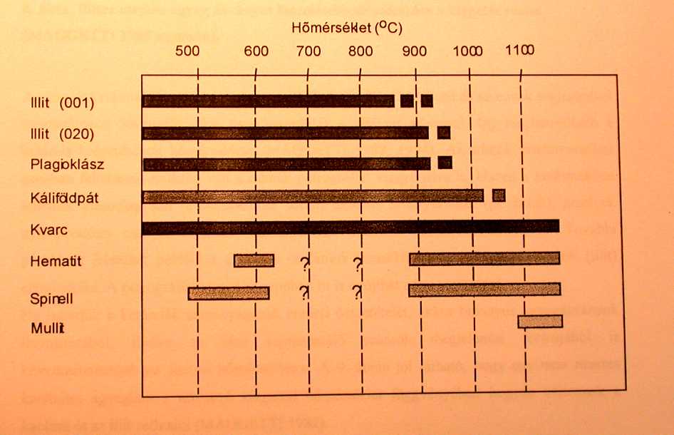 Márgás agyagok endoterm és exoterm átalakulásának szakaszai (Veniale 1990)