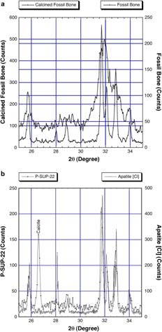 Diffrakciós maximumok szétválása a A diffrakciós maximumok progresszív élesedése kalcinált geológiai (nem biogén) és hőkezelt csontokban, növekvő CI értékekkel, valamint magasabb biogén mintákban