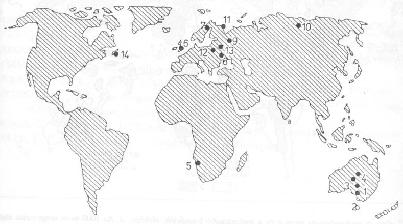 Az Ediacara fauna I. 580-560 millió évvel ezelőtti időszak: Ediacara v.