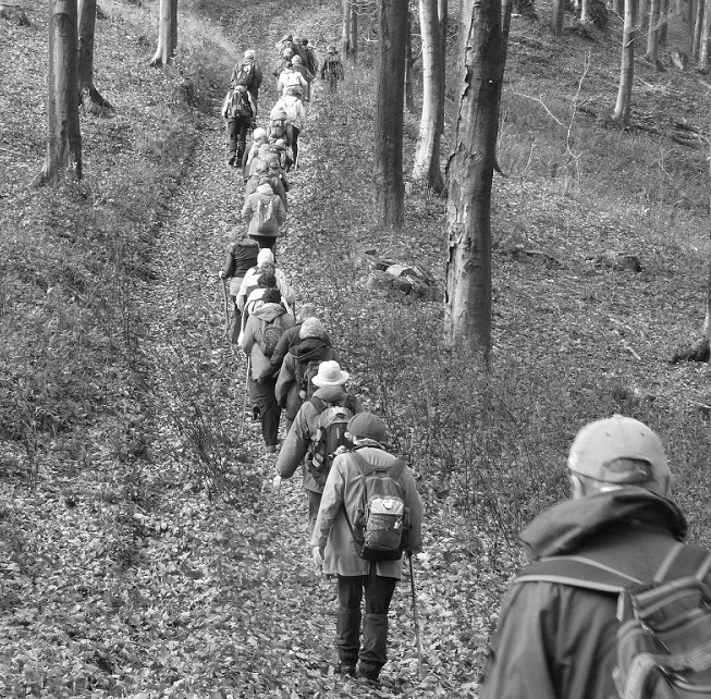 Oldal: 16 / 22 2. Pezsgő és Borfesztivál a Budai Várban látogatás, vez.: Tóth László 3. Hagyományos piknik túra Kamaraerdőn (főzés bográcsban, evésivás, játék, könnyű séta a környéken), vez.