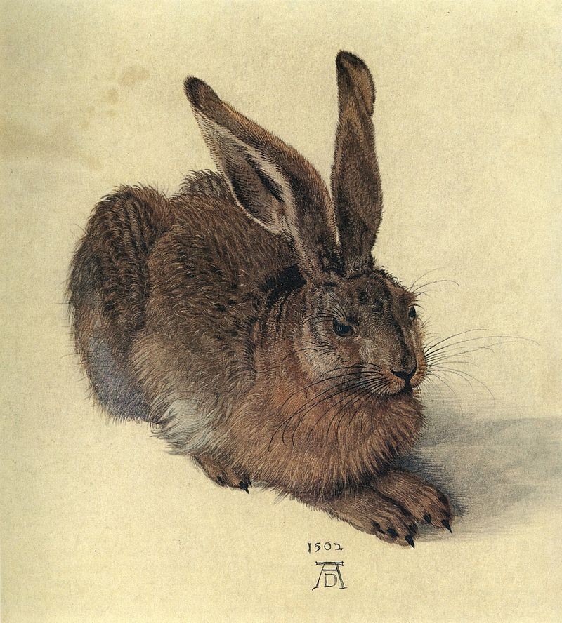 A Albrecht Dürer,
