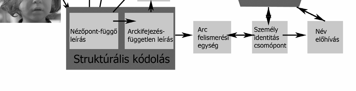 Az ismerős és ismeretlen arcok feldolgozása közötti különbség értelmezésének hiányosságai jól megmutatkoznak, ha a kontextus hatásait is figyelembe vesszük.