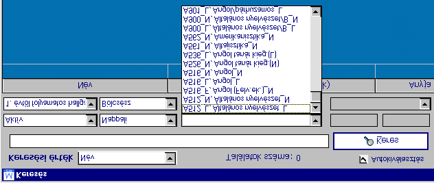 II.1.4. Besorolás beállítás Ez is egy új keresési lehetőség. A kiválasztás, valamint az inaktiválás megegyezik a fentiekben leírt esetekkel. II.1.5.