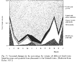 A fácán szárazanyagra vonatkoztatott szezonális táplálékösszetétele mezőgazdasági területeken Magyarországon (n = 777) (FARKAS, 1983) Tavasz Nyár Ősz Tél Összes Táplálék nemek (%) n=292 n = 136 n =