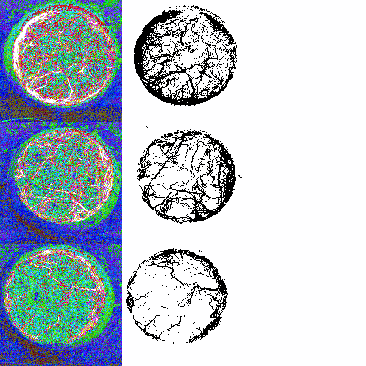 perifériákkal. A képek felvételezéséhez és memóriában történő tárolásához céleszközöket alkalmazunk.