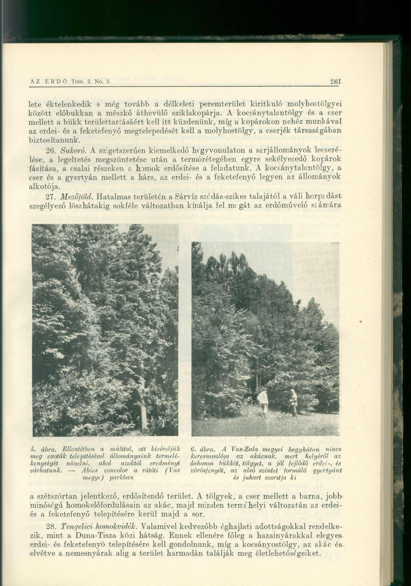 lete éktelenkedi k s mé g továb b a délkelet i peremteriile t kiritkul ó molyhostölgye i között előbukka n a mészk ő áthevül ő sziklakopárja.