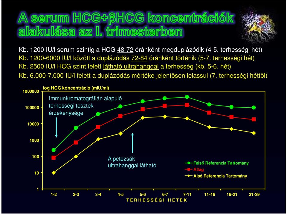 000 IU/l felett a duplázódás mértéke jelentősen lelassul (7.