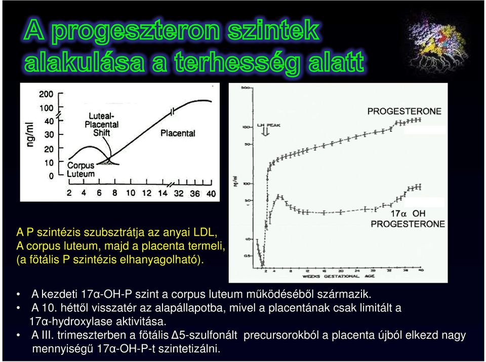 héttől visszatér az alapállapotba, mivel a placentának csak limitált a 17α-hydroxylase aktivitása.