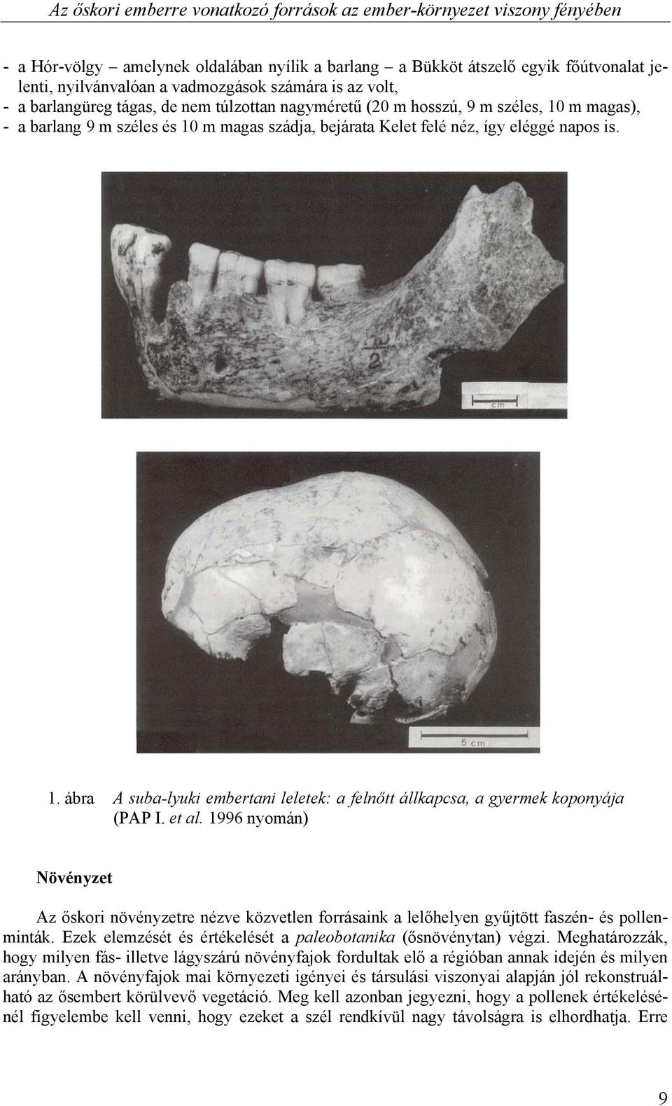 1. ábra A suba-lyuki embertani leletek: a felnőtt állkapcsa, a gyermek koponyája (PAP I. et al.