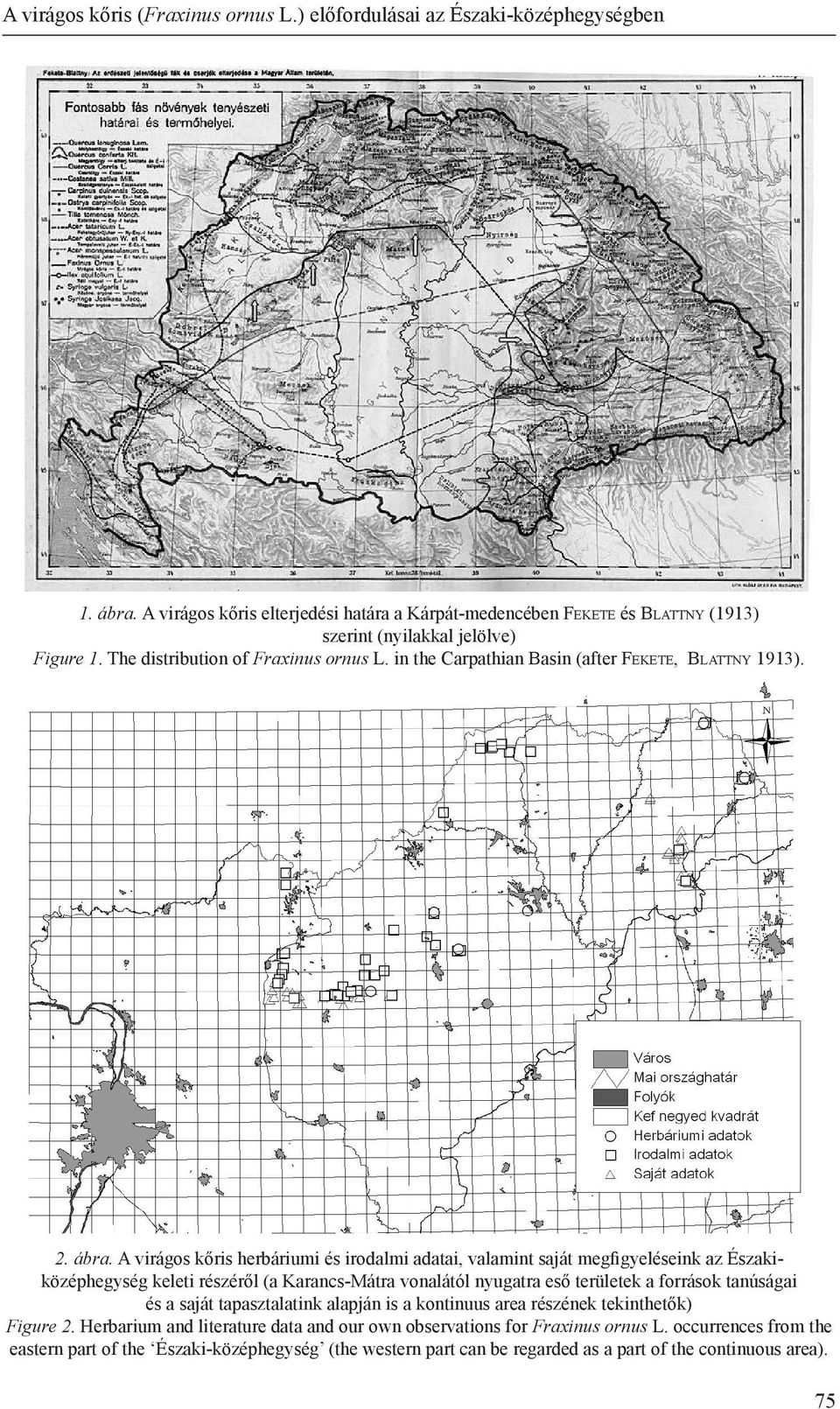 in the Carpathian Basin (after Fe k e t e, Bl at t n y 1913). 2. ábra.