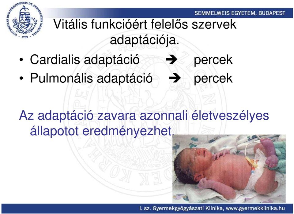 Cardialis adaptáció Pulmonális adaptáció