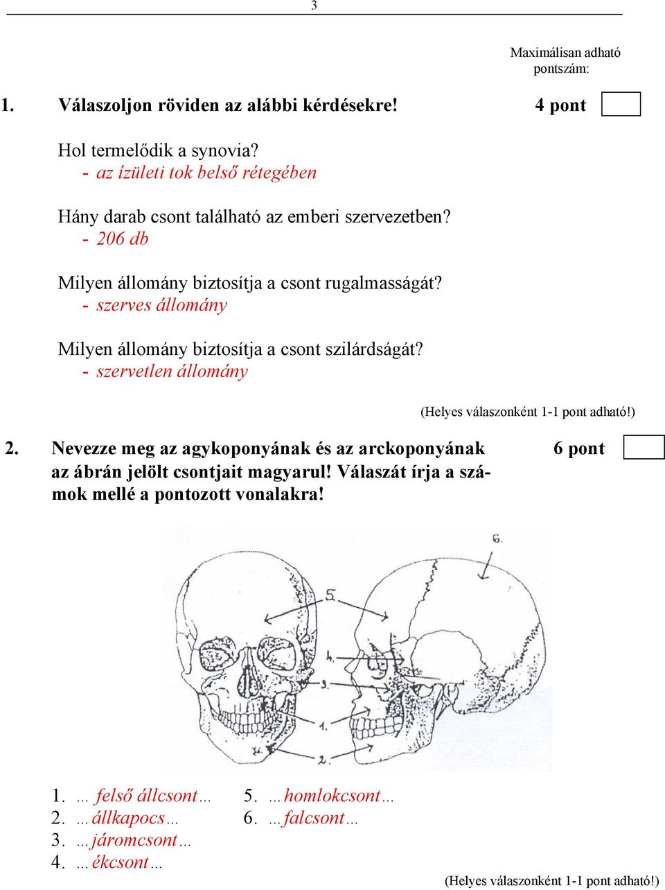 - szerves állomány Milyen állomány biztosítja a csont szilárdságát? - szervetlen állomány 2.