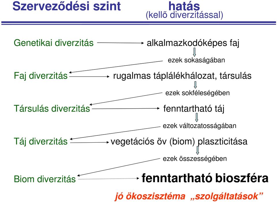 Társulás diverzitás fenntartható táj ezek változatosságában Táj diverzitás vegetációs öv