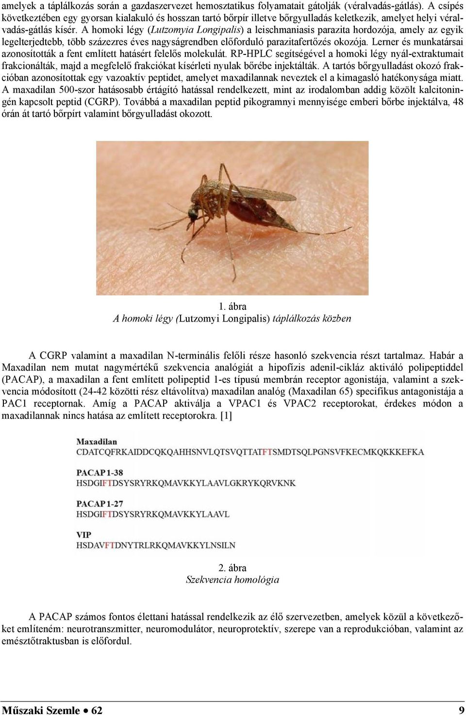 A homoki légy (Lutzomyia Longipalis) a leischmaniasis parazita hordozója, amely az egyik legelterjedtebb, több százezres éves nagyságrendben előforduló parazitafertőzés okozója.