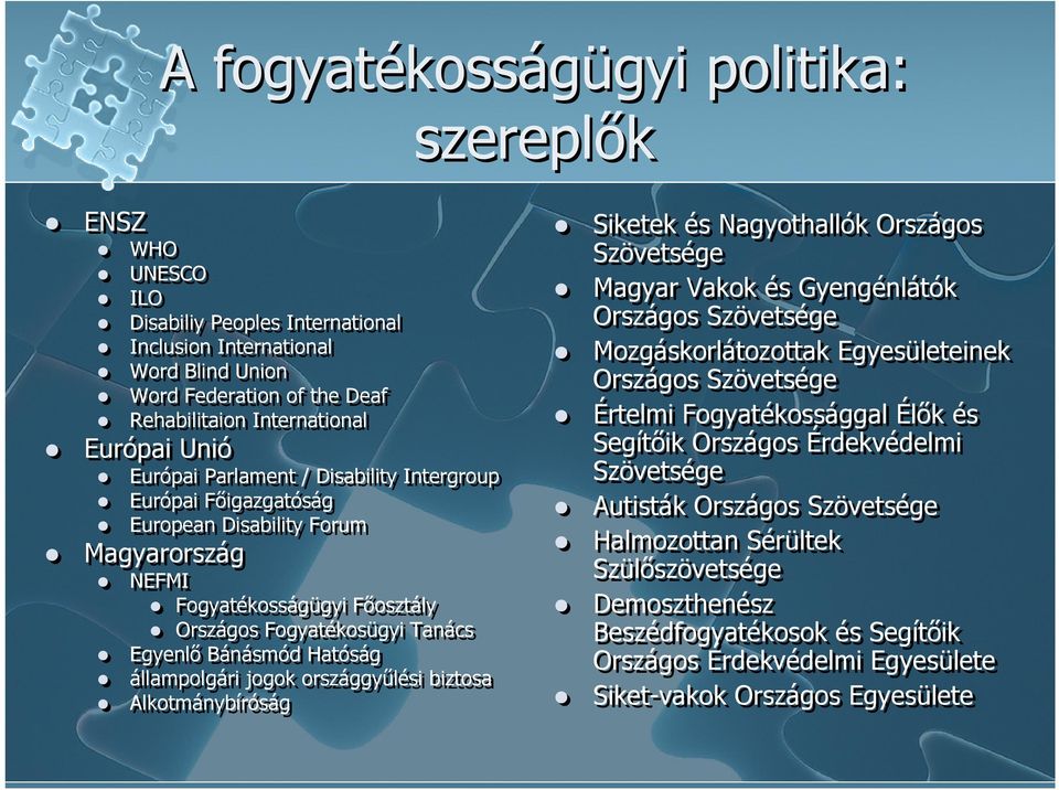 állampolgári jogok országgyűlési biztosa Alkotmánybíróság Siketek és Nagyothallók Országos Szövetsége Magyar Vakok és Gyengénlátók Országos Szövetsége Mozgáskorlátozottak Egyesületeinek Országos