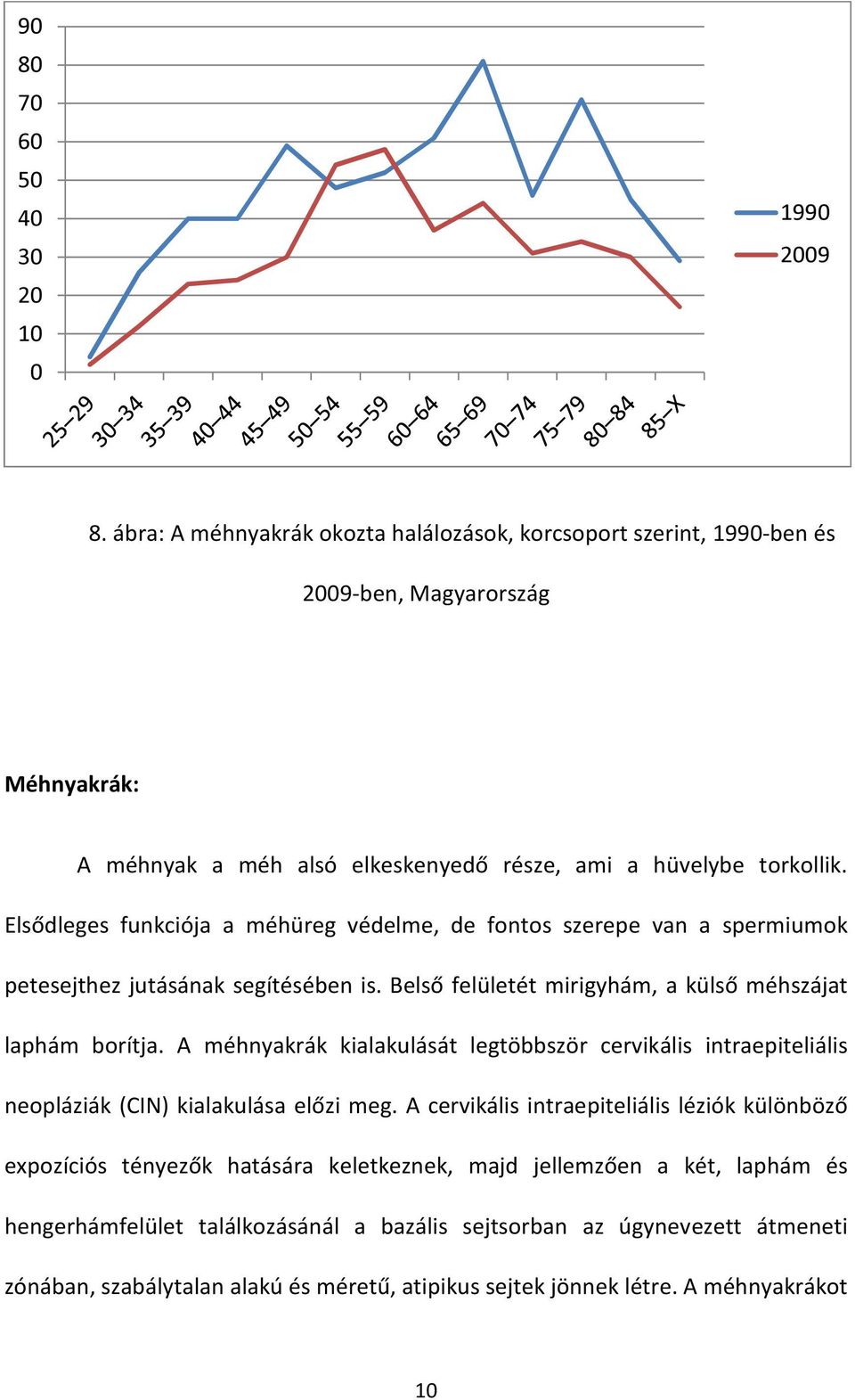 Elsődleges funkciója a méhüreg védelme, de fontos szerepe van a spermiumok petesejthez jutásának segítésében is. Belső felületét mirigyhám, a külső méhszájat laphám borítja.