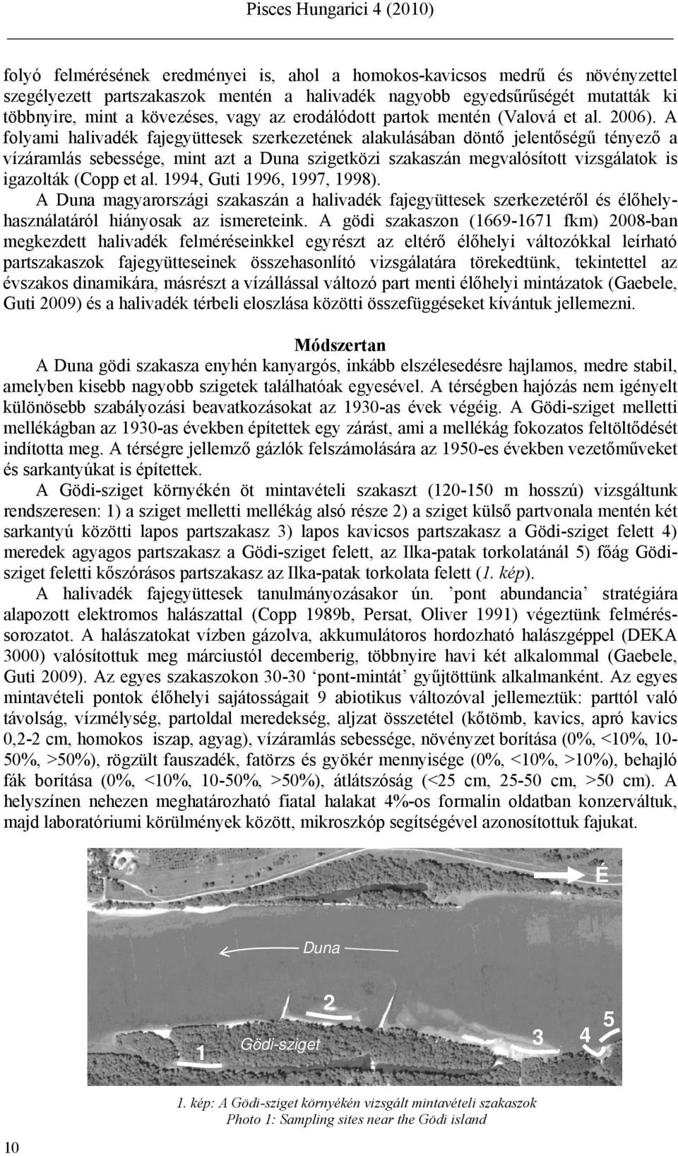 A folyami halivadék fajegyüttesek szerkezetének alakulásában döntő jelentőségű tényező a vízáramlás sebessége, mint azt a Duna szigetközi szakaszán megvalósított vizsgálatok is igazolták (Copp et al.