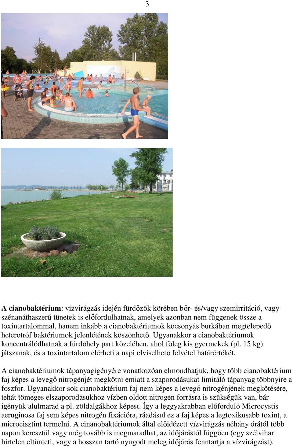 Ugyanakkor a cianobaktériumok koncentrálódhatnak a fürdıhely part közelében, ahol fıleg kis gyermekek (pl. 15 kg) játszanak, és a toxintartalom elérheti a napi elviselhetı felvétel határértékét.