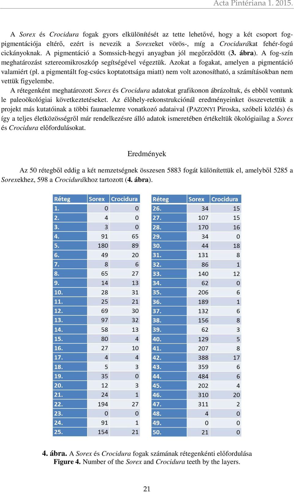 A pigmentáció a Somssich-hegyi anyagban jól megőrződött (3. ábra). A fog-szín meghatározást sztereomikroszkóp segítségével végeztük. Azokat a fogakat, amelyen a pigmentáció valamiért (pl.