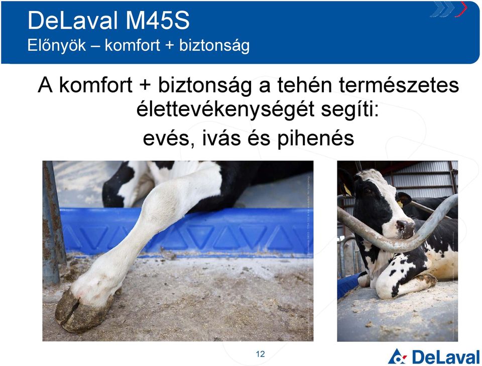 természetes élettevékenységét