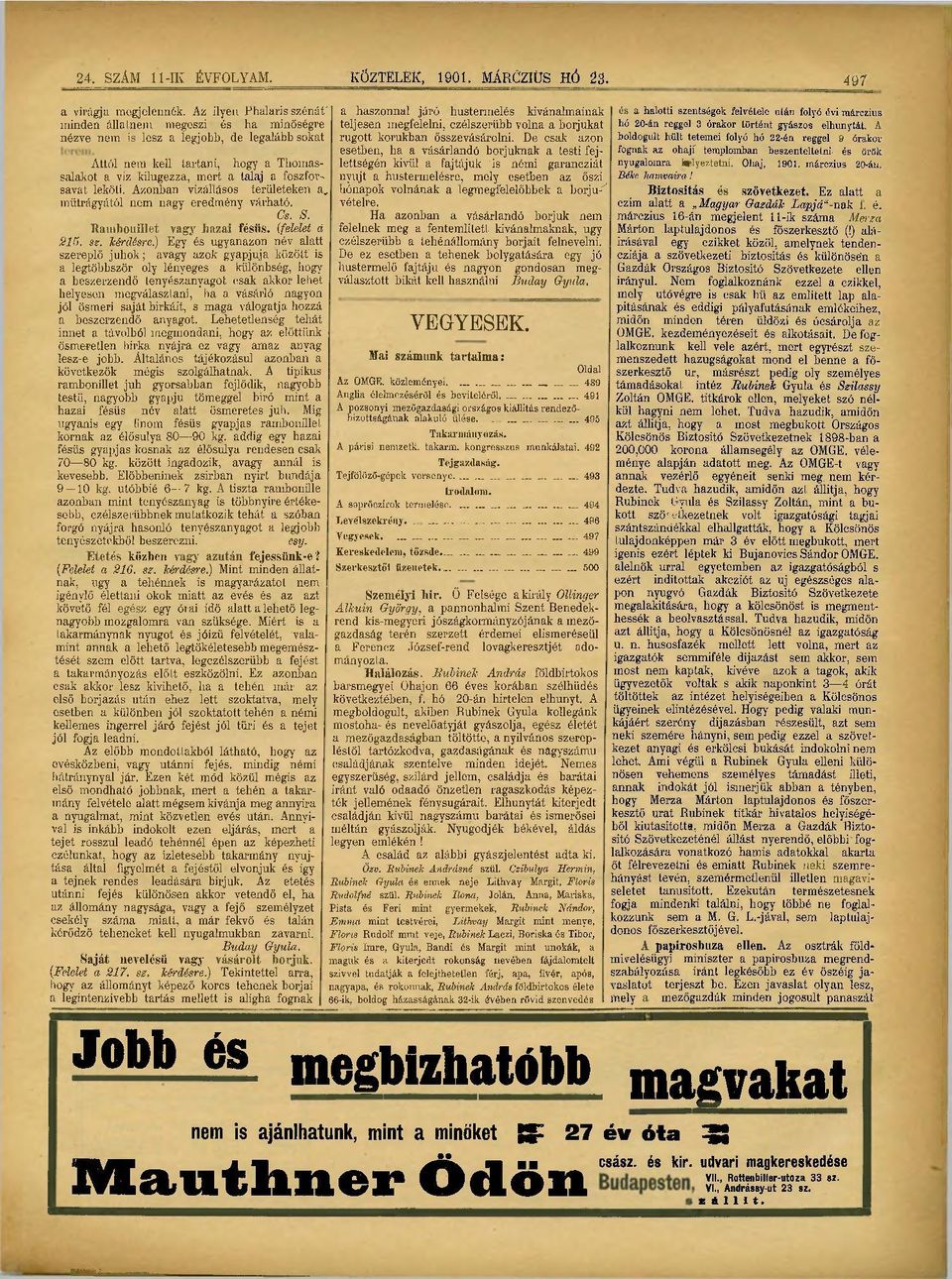 foszforsavat leköti. Azonban vizállásos területeken a, műtrágyától nem nagy eredmény várható. Cs. S. Ranibouillet vagy hazai fésűs, (felelet á 215. sz.