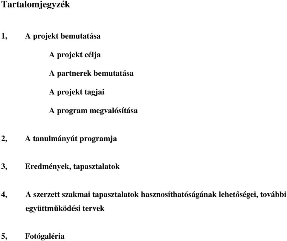 programja 3, Eredmények, tapasztalatok 4, A szerzett szakmai