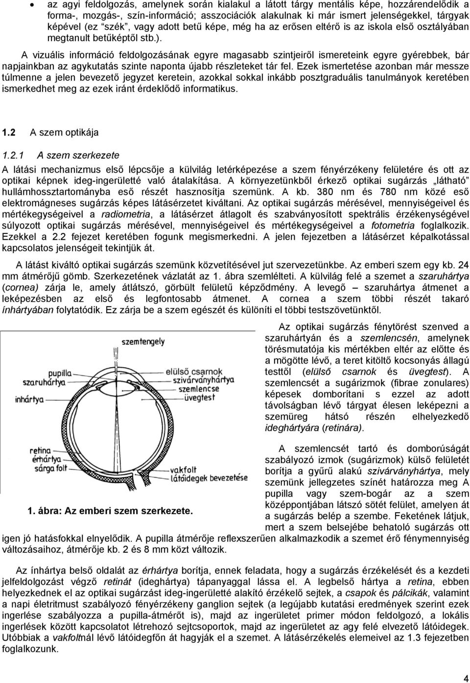 A vizuális információ feldolgozásának egyre magasabb szintjeiről ismereteink egyre gyérebbek, bár napjainkban az agykutatás szinte naponta újabb részleteket tár fel.