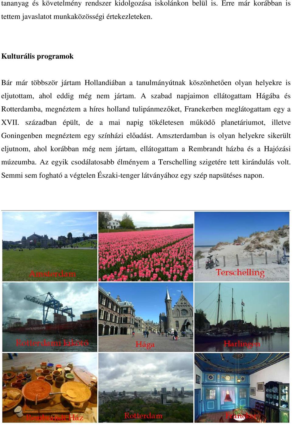 A szabad napjaimon ellátogattam Hágába és Rotterdamba, megnéztem a híres holland tulipánmezőket, Franekerben meglátogattam egy a XVII.