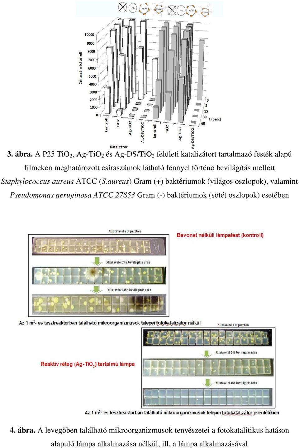 látható fénnyel történı bevilágítás mellett Staphylococcus aureus ATCC (S.