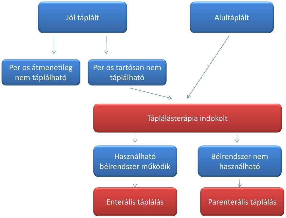 Táplálásterápia indokolt Használható bélrendszer