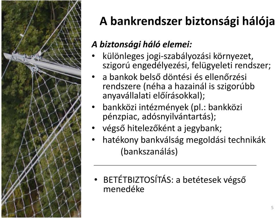 szigorúbb anyavállalati előírásokkal); bankközi intézmények (pl.