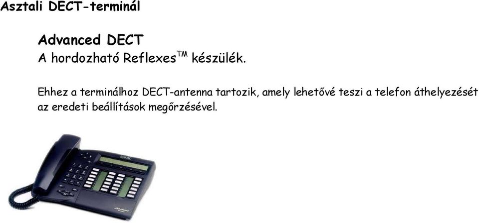 Ehhez a terminálhoz DECT-antenna tartozik, amely