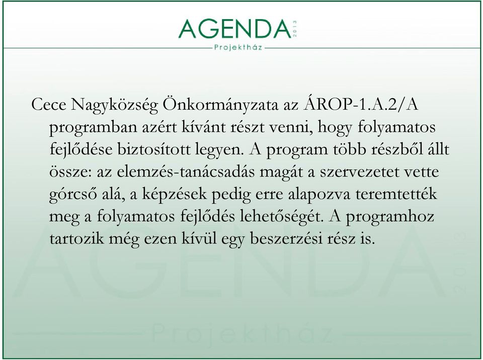 A program több részből állt össze: az elemzés-tanácsadás magát a szervezetet vette górcső