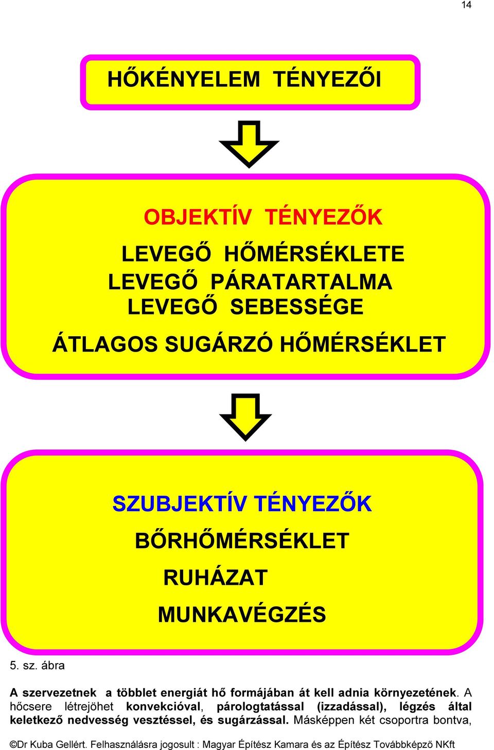 ábra A szervezetnek a többlet energiát hő formájában át kell adnia környezetének.