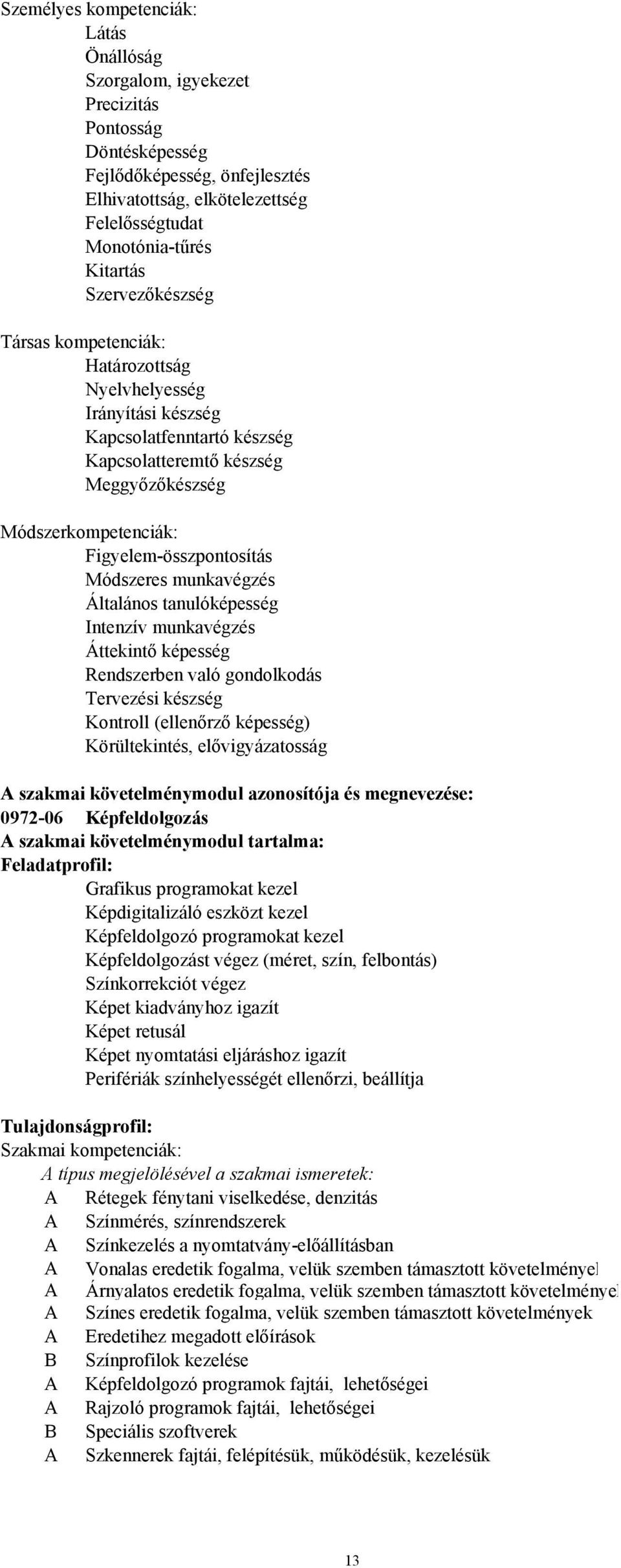 Módszeres munkavégzés Általános tanulóképesség Intenzív munkavégzés Áttekintő képesség Rendszerben való gondolkodás Tervezési készség Kontroll (ellenőrző képesség) Körültekintés, elővigyázatosság A