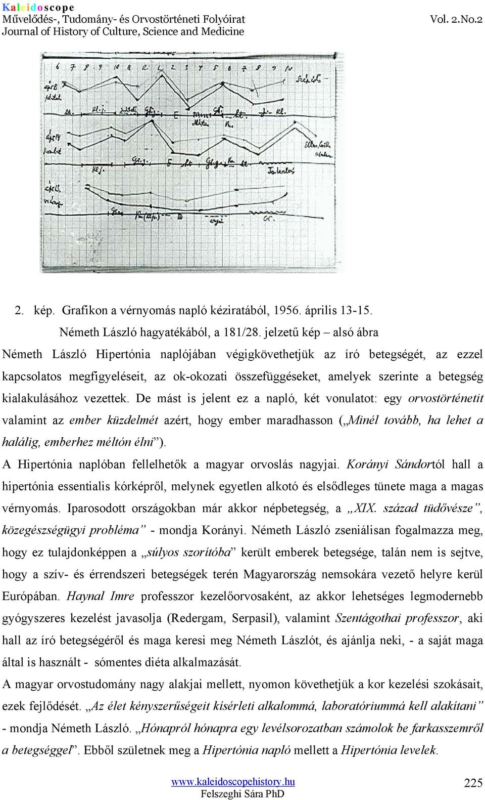 kialakulásához vezettek.