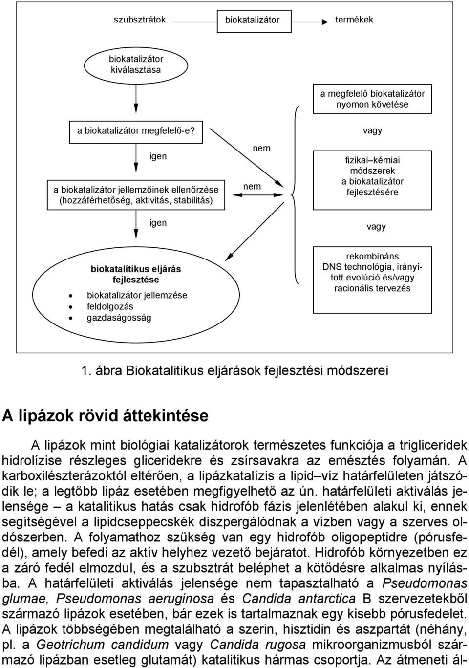 fejlesztése biokatalizátor jellemzése feldolgozás gazdaságosság rekombináns DNS technológia, irányí- tott evolúció és/vagy racionális tervezés 1.