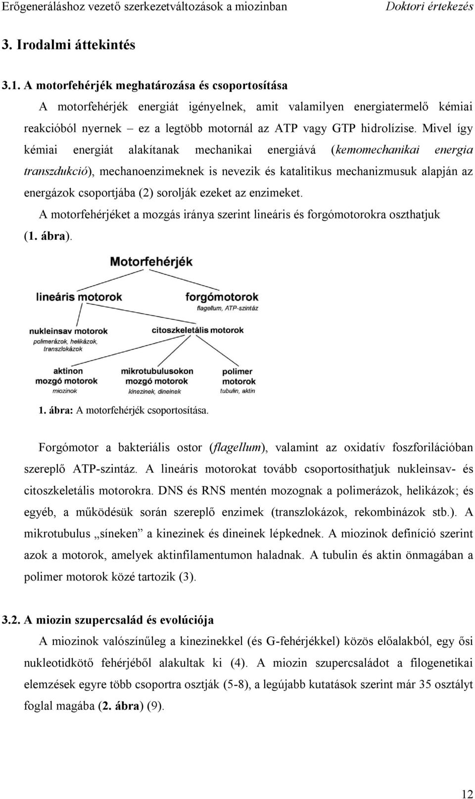 Mivel így kémiai energiát alakítanak mechanikai energiává (kemomechanikai energia transzdukció), mechanoenzimeknek is nevezik és katalitikus mechanizmusuk alapján az energázok csoportjába (2)