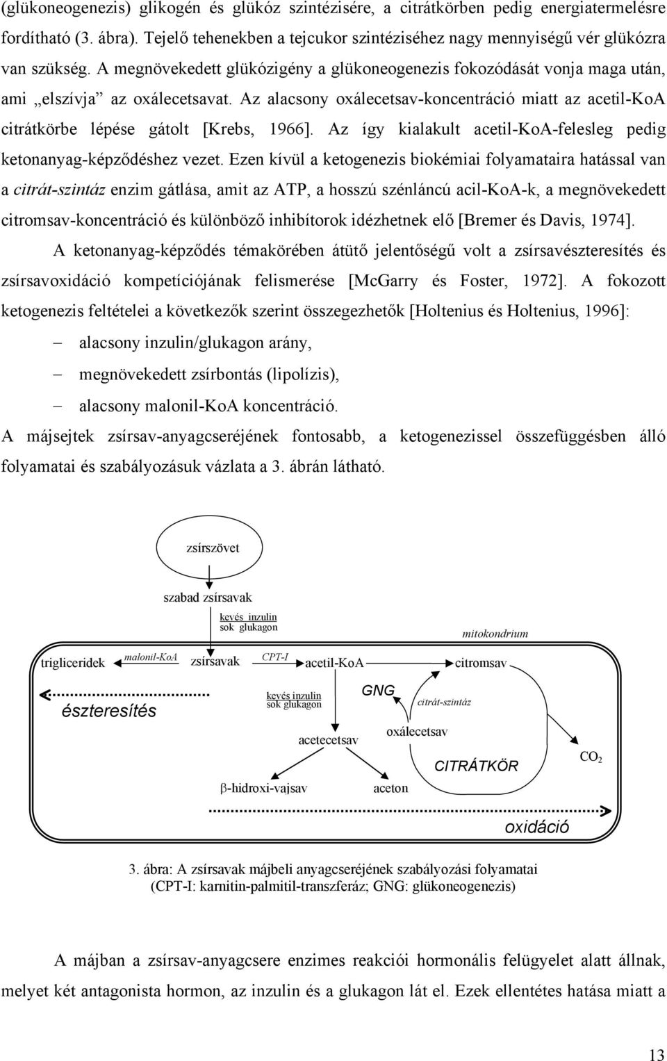 Az alacsony oxálecetsav-koncentráció miatt az acetil-koa citrátkörbe lépése gátolt [Krebs, 1966]. Az így kialakult acetil-koa-felesleg pedig ketonanyag-képződéshez vezet.