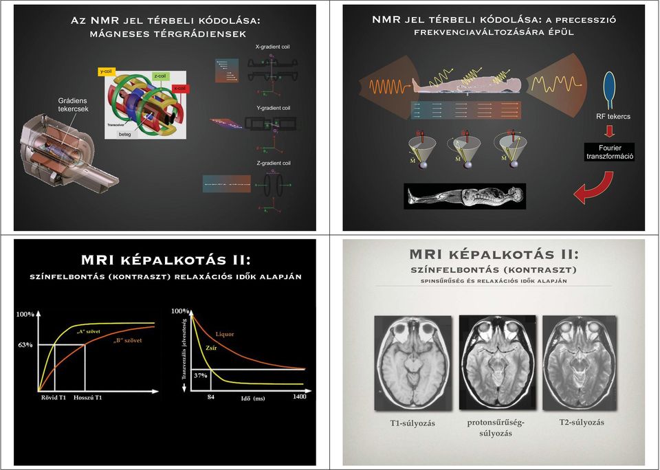 II: színfelbontás (kontraszt) relaxációs idők alapján MRI képalkotás II: színfelbontás (kontraszt) spinsűrűség és relaxációs idők