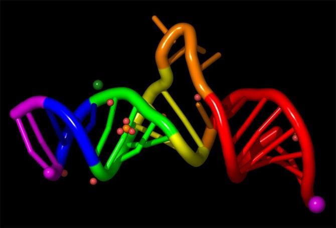 RNS-ek 1. Az ősi RNS Világ: - az élet hajnalán 2.