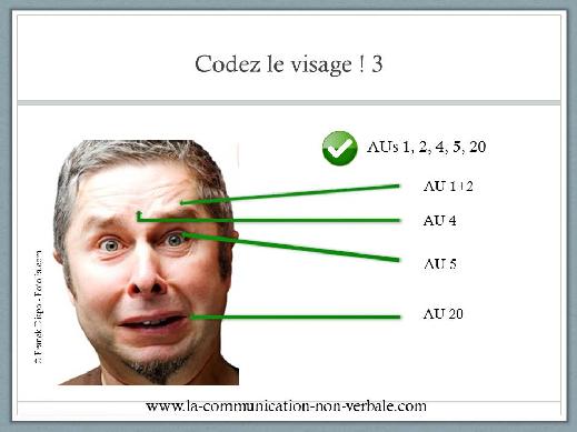 A nem verbális kommunikáció legvitatottabb kérdései Univerzális vagy kultúrafüggő?