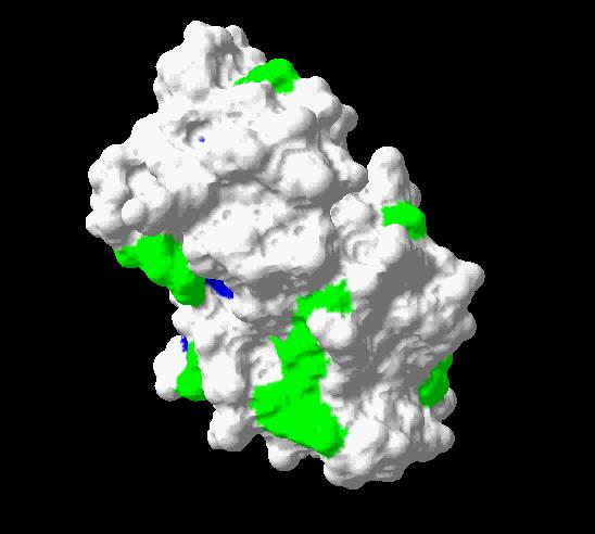 Felület, nmr