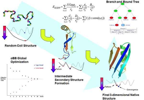 A fehérjék belső dinamikája NMR 10-12 ps 10-9 ns 10-6 ms 10-3 ms 10 0 s 10 2 ~min sec feltekeredés