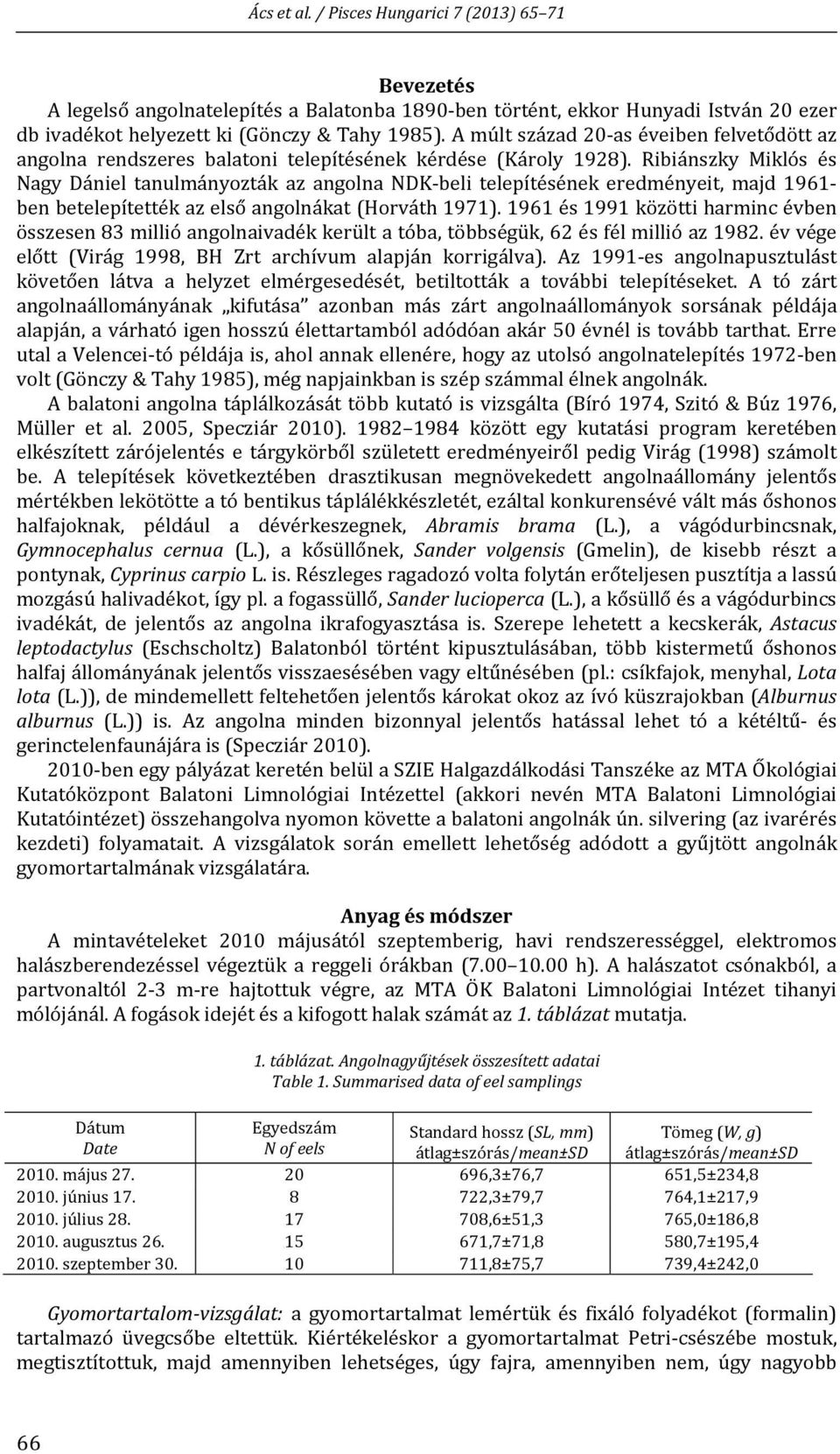 Ribiánszky Miklós és Nagy Dániel tanulmányozták az angolna NDK beli telepítésének eredményeit, majd 1961 ben betelepítették az első angolnákat (Horváth 1971).