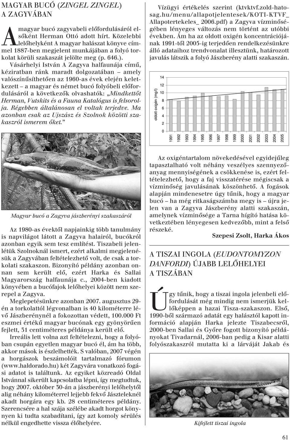 Vásárhelyi István A Zagyva halfaunája címû, kéziratban ránk maradt dolgozatában amely valószínûsíthetôen az 1960-as évek elején keletkezett a magyar és német bucó folyóbeli elôfordulásáról a