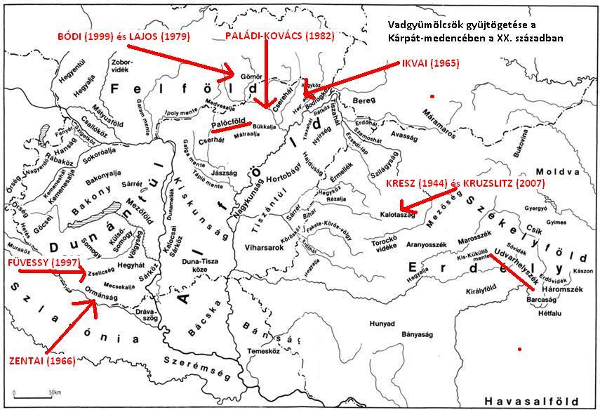 A gyümölcstermesztés hagyományai: vadgyümölcsök