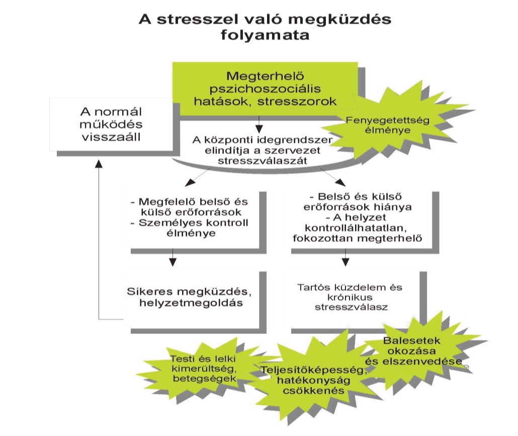 3. ábra: A stressz elaboráció Forrás:http://www.ommf.gov.hu/letoltes.php%3Fd_id%3D5580 A védelmi szektorban a munkahelyi stressz speciális esetei a traumatikus események.